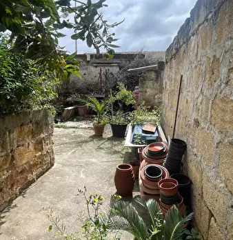 Foto annuncio 6
