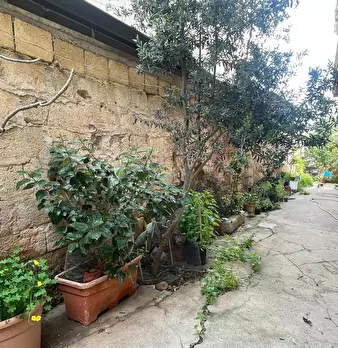 Foto annuncio 12
