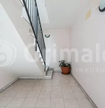 Foto annuncio 29