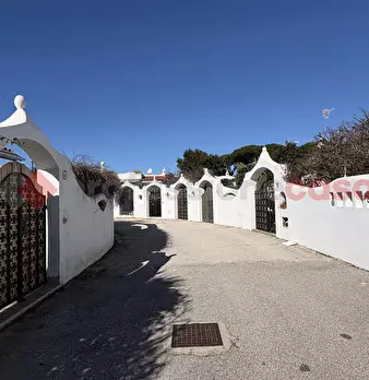 Foto annuncio 48