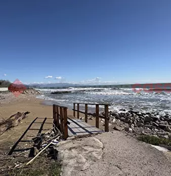 Foto annuncio 44