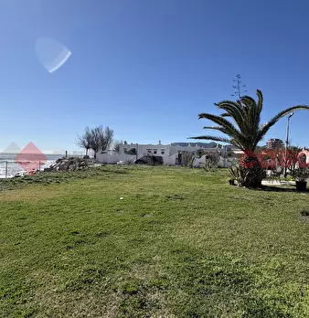 Foto annuncio 43