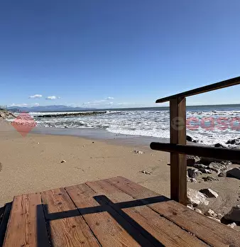 Foto annuncio 46