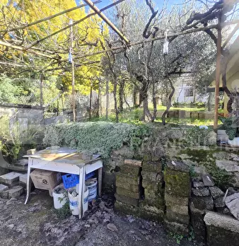 Foto annuncio 12