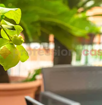 Foto annuncio 19