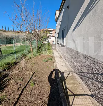 Foto annuncio 4