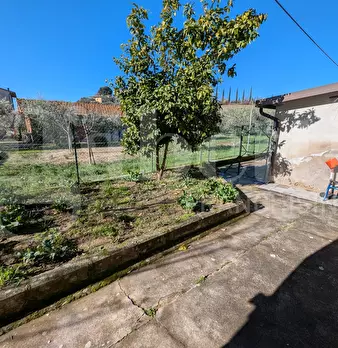 Foto annuncio 5