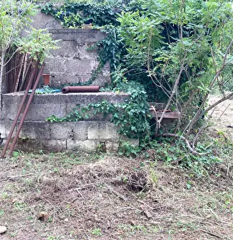Foto annuncio 11