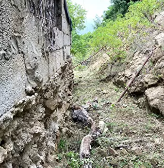 Foto annuncio 10