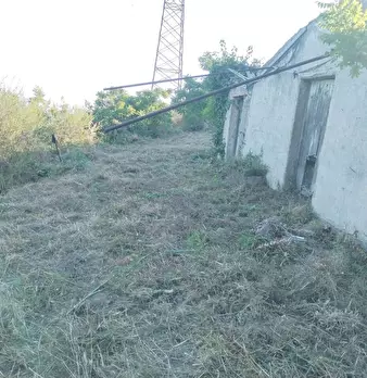 Foto annuncio 22