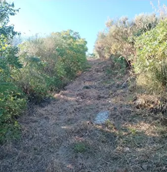 Foto annuncio 4