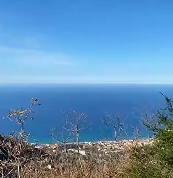 Foto annuncio 2