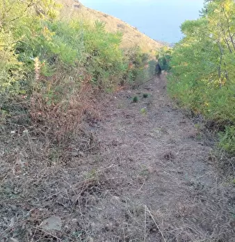 Foto annuncio 20