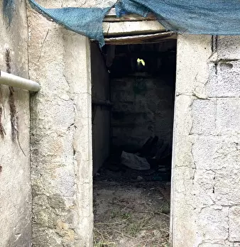 Foto annuncio 8