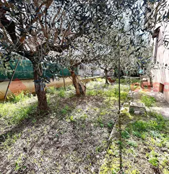 Foto annuncio 5