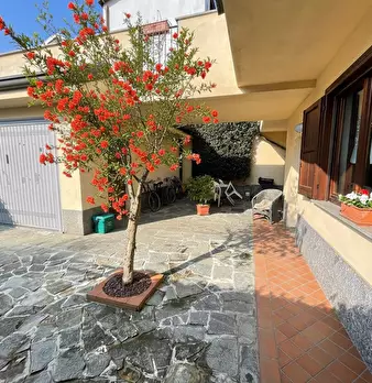Foto annuncio 25