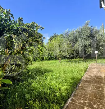 Foto annuncio 6