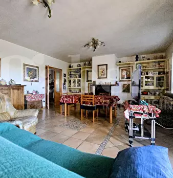 Foto annuncio 41