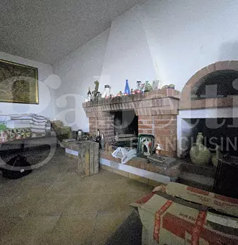 Foto annuncio 47