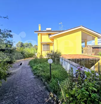 Foto annuncio 5