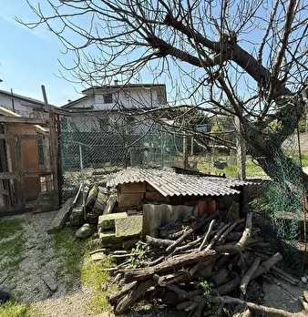 Foto annuncio 5