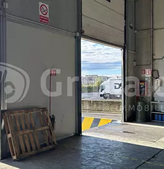 Foto annuncio 6