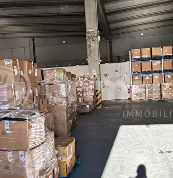 Foto annuncio 4