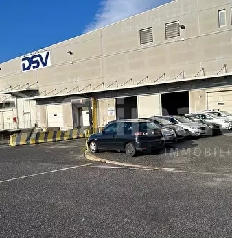 Foto annuncio 8