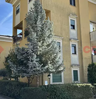 Foto annuncio 26