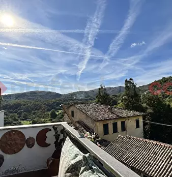 Foto annuncio 29