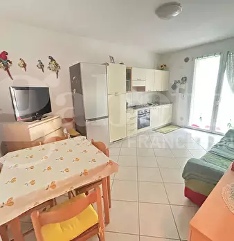 Foto annuncio 5