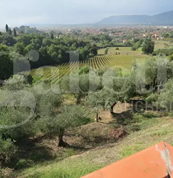 Foto annuncio 12