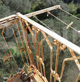 Foto annuncio 7