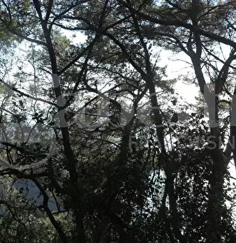 Foto annuncio 16