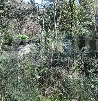 Foto annuncio 12