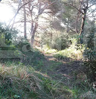 Foto annuncio 14