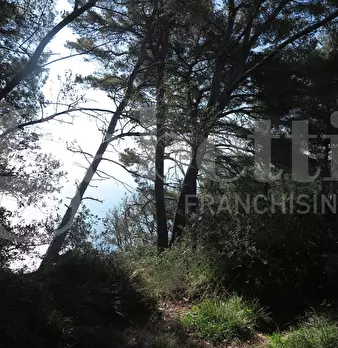 Foto annuncio 4