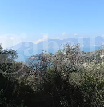 Foto annuncio 11