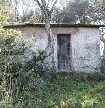 Foto annuncio 13