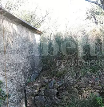 Foto annuncio 15
