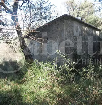 Foto annuncio 7
