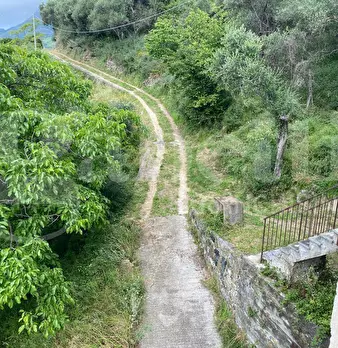 Foto annuncio 4