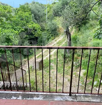 Foto annuncio 12