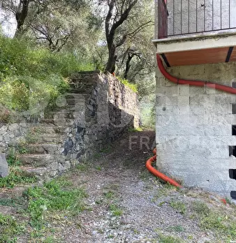 Foto annuncio 2