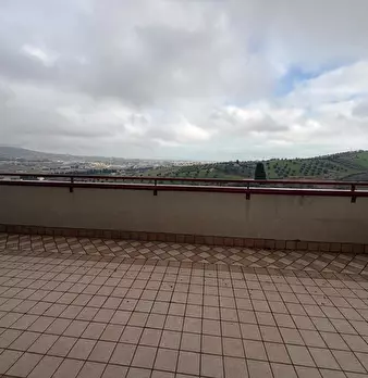 Foto annuncio 14