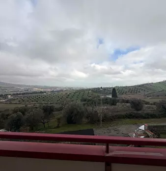Foto annuncio 12