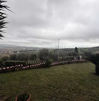 Foto annuncio 15