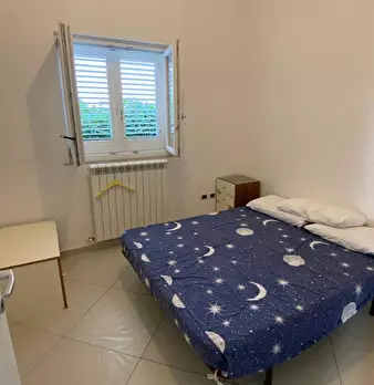 Foto annuncio 7