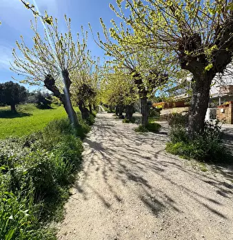 Foto annuncio 24