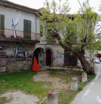 Foto annuncio 6